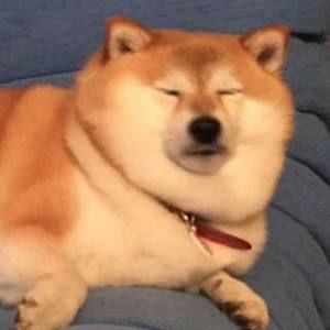 Meet your Posher, Carly